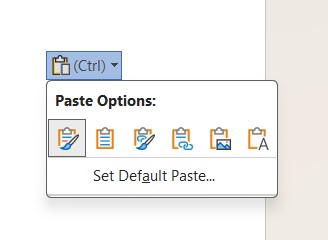 Copy Tables from Excel to Word