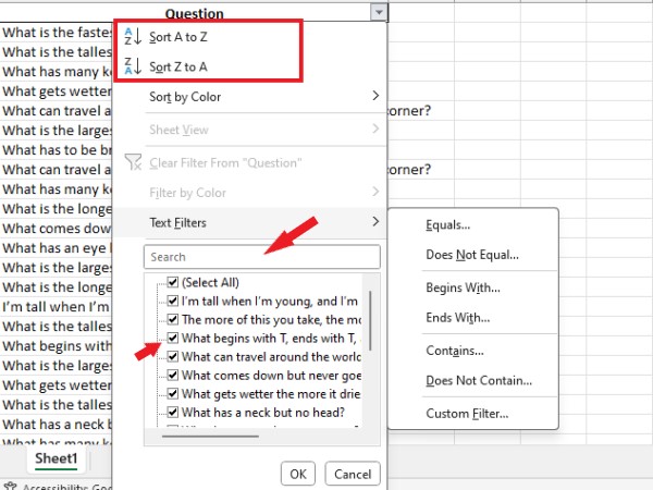 how to use Filters in Excel1