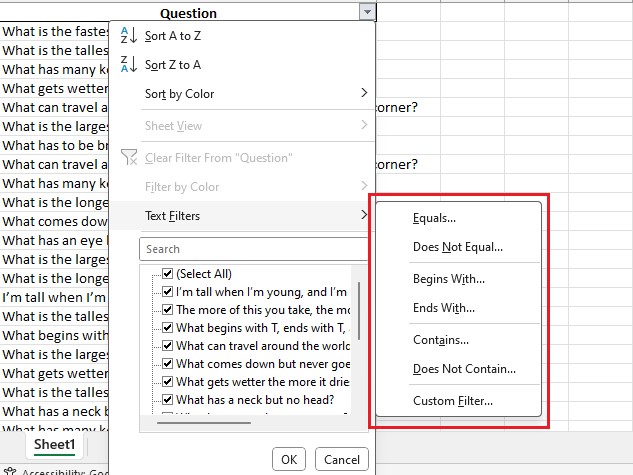 how to use Filters in Excel4