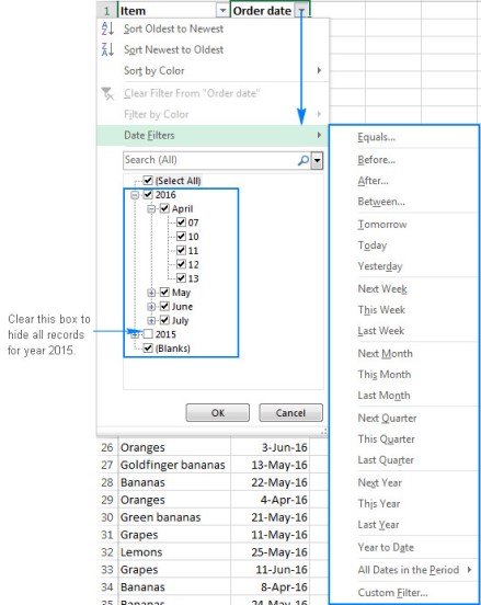 how to use Filters in Excel5