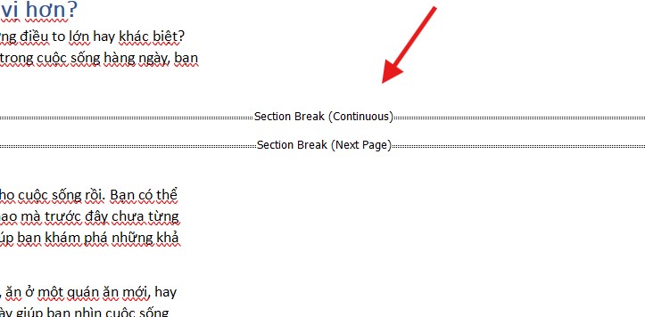 how to use Section Break in Word 1