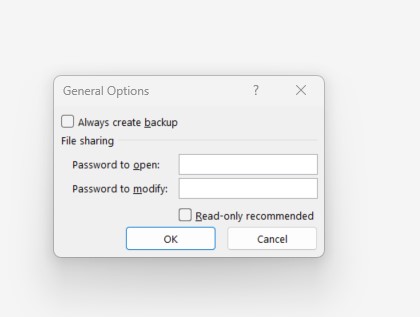 set a password for Excel files 2