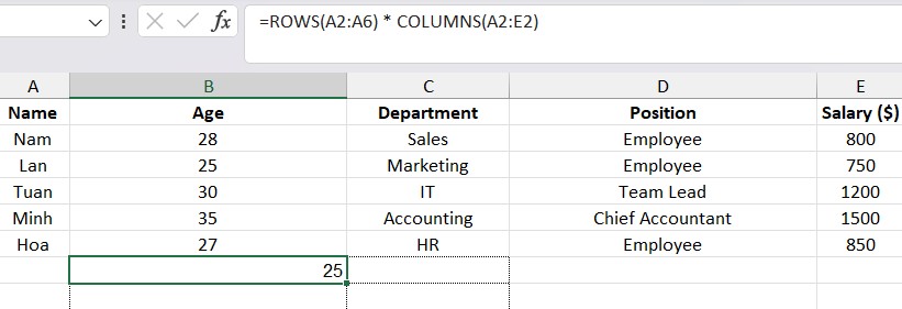 Count Cells in Excel