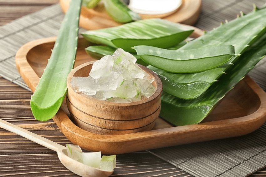 Cách sử dụng lô hội để chăm sóc da